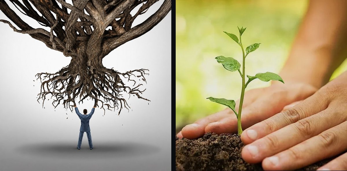 Two panels side by side: a man straining to lift an uprooted oak by its roots, and a pair of hands banking soil around a seedling